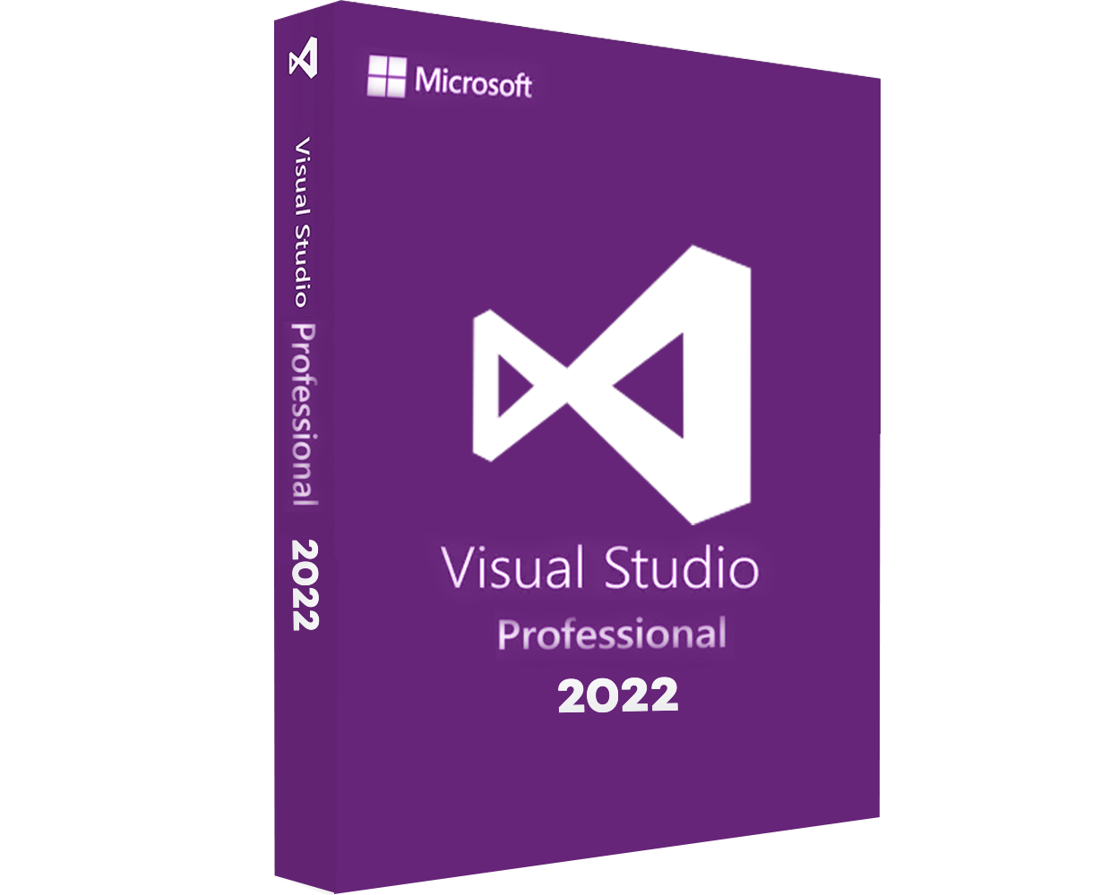 Visual Studio 2022 Professional 32/64 Bit - Licenza Microsoft